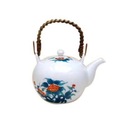 [Made in Japan] Ironabeshima iwabotan Teapot