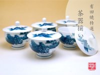 Tea Cup set for Green Tea 5 pcs Cups Nabeshima sansui Landscape