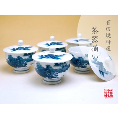 [Made in Japan] Nabeshima sansui landscape Tea cup set (5 cups)　