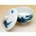 Photo3: Tea Cup set for Green Tea 5 pcs Cups Nabeshima sansui Landscape