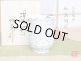 Yunomi Tea Cup for Green Tea Gyokusai umezume (Small)