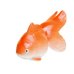 [Made in Japan] Hime kinsyo goldfish (Red) Ornament doll