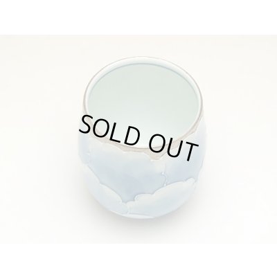 Photo2: Yunomi Tea Cup for Green Tea Platinum botan (Small)