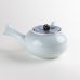 Photo4: Teapot Kyusu Plutinum botan Peony