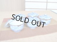 Tea Cup set for Green Tea 5 pcs Cups with Lids Plutinum botan in wooden box