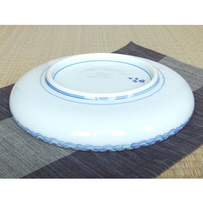 Photo4: Large Bowl (27.3cm) Uenishiki TEPPACHI