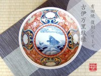 Large Bowl (24.8cm) Somenishiki araiso-mon (Red)