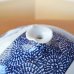 Photo8: Sometsuke Tako-Karakusa Sansui Large Vase by Kinsai Fujii (8)