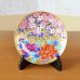 Photo1: Decorative Plate 16.6cm Kinsai Botan-Sakura Peony and Cherry blossom | Kinryugama Kiln work (1)