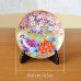 Photo5: Decorative Plate 16.6cm Kinsai Botan-Sakura Peony and Cherry blossom | Kinryugama Kiln work (5)