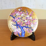 Decorative Plate 16.6cm Kinsai Ume Plum tree | Kinryugama Kiln work
