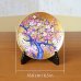 Photo5: Decorative Plate 16.6cm Kinsai Ume Plum tree | Kinryugama Kiln work (5)