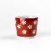 Photo1: Sake Cup Aka noume Red plum blossom (6cm/2.3in) (1)