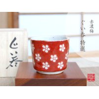 Sake Cup Akadami ume