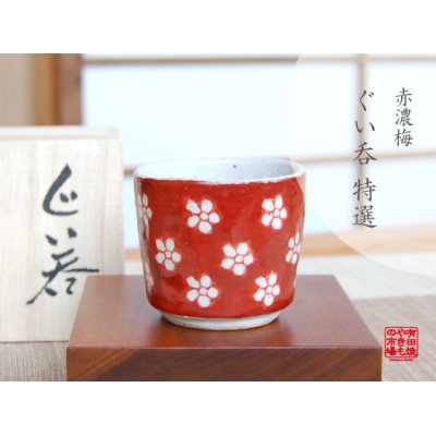 [Made in Japan] Akadami ume SAKE cup