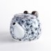 Photo3: Teapot Bara Rose (3)