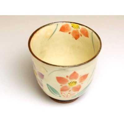 Photo2: Yunomi Tea Cup for Green Tea Hana rindow (Red)