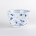 Photo1: Donburi Bowl for Noodles Karakusa-Tsuzuri (M) (12 cm/4.7 in) (1)