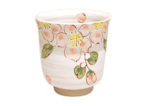 Yunomi Tea Cup for Green Tea Hanano (Small)