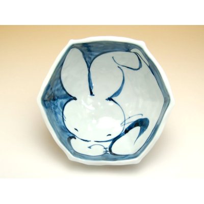 Photo2: Donburi Bowl for Noodles (16.5cm) Akae usagi Rabbit