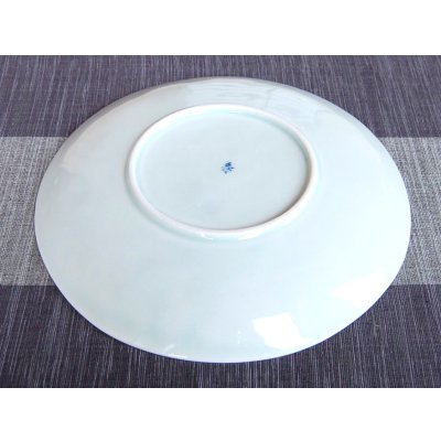 Photo3: Large Plate (24.5cm) Obi tokusa