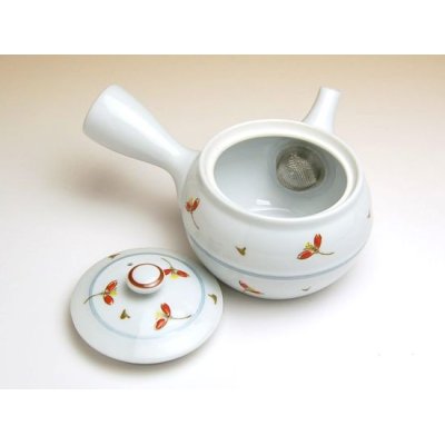 Photo2: Teapot Kyusu Akane-so