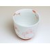 Photo2: Yunomi Tea Cup for Green Tea Icchin usagi Rabbit (Red) (2)