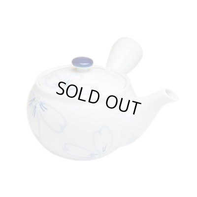 [Made in Japan] Utage Teapot