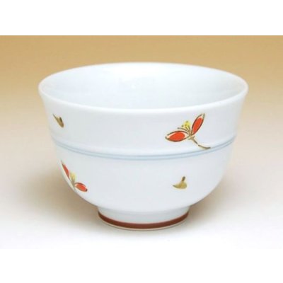 Photo3: Tea set for Green Tea 1 pc Teapot and 5 pcs Cups Akane-so