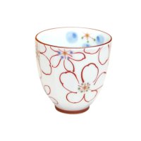 Yunomi Tea Cup for Green Tea Ayaka (Red)