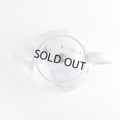 Photo5: Teapot Icchin hana usagi Rabbit