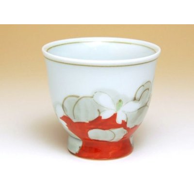 Photo3: Tea set for Green Tea 1 pc Teapot and 5 pcs Cups Hana gokoro