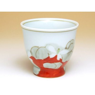 Photo2: Tea Cup set for Green Tea 5 pcs Cups Hana gokoro