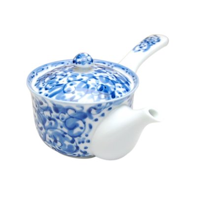 [Made in Japan] Tansaikarakusa Teapot