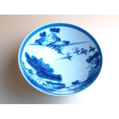 Photo2: Rice Bowl Uchi sansui Landscape (Small)