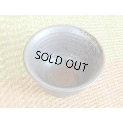 Photo6: Sake set 1 pc Tokkuri bottle and 2 pcs Cups Enka