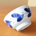 Photo3: Donburi Bowl for Noodles Leaf (17.2 cm/6.8 in) (3)