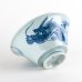 Photo6: Donburi Bowl for Noodles Matsu-Ryu Dragon (17.7 cm/7.0 in) (6)