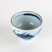 Photo3: Yunomi Tea Cup for Green Tea Matsu Ryu Dragon (3)
