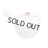 Teapot Kyusu Kobana karakusa