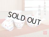 Tea set for Green Tea 1 pc Teapot and 5 pcs Cups Nishiki chidori
