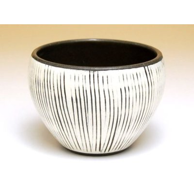 Photo3: Tea set for Green Tea 1 pc Teapot and 5 pcs Cups Senbori