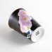 Photo5: Cup Ran-ran Orchid flower Purple (5)