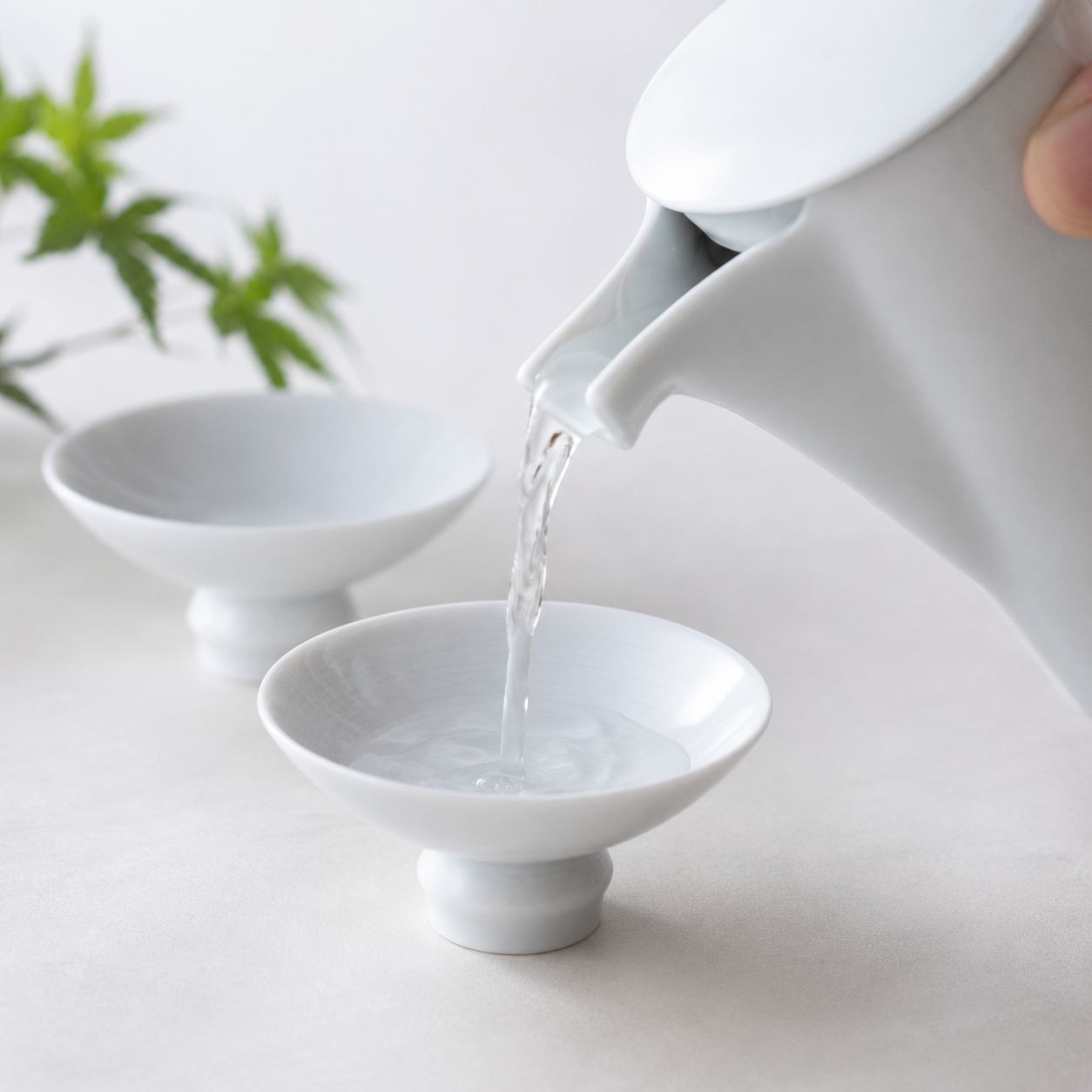 Japanese sake being poured into Hakuji white porcelain sake ware