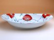 Photo3: Oval dish (26.6cm) Tomato (3)