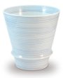 [Made in Japan] Kinuito cup