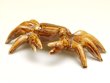 Photo2: Figurine Crab (Small) (2)