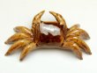 Photo3: Figurine Crab (Small) (3)