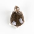 Photo3: Figurine Mini-Kame Turtle SL (3)