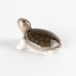 Photo5: Figurine Mini-Kame Turtle SL (5)